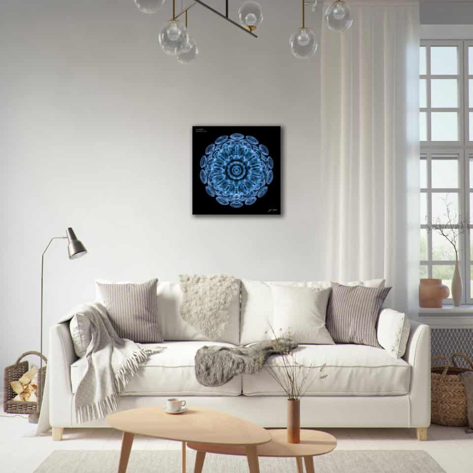 429,62 Hz • Water – Image 7